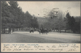 CPA CARTE POSTALE BELGIQUE   BRUXELLES BOIS DE LA CAMBRE UNE GRANDE ALLEE 1908 - Autres & Non Classés