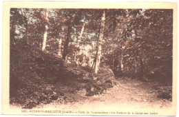 Seine Et Marne : BOURRON-MARLOTTE : Forêt De Fontainebleau  Les Rochers De La Gorges Aux Loups : Couleur - Other & Unclassified