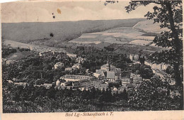 Bad Langenschwalbach Im Taunus Panorama Gl1917 #144.316 - Sonstige & Ohne Zuordnung