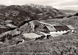 Oberahornkaser Mit Roßfeldstraße Und Untersberg Gl1971 #143.416 - Other & Unclassified