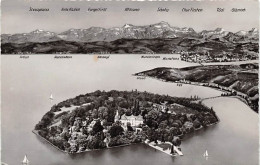 Insel Mainau Im Bodensee Panorama Gl1955 #143.101 - Sonstige & Ohne Zuordnung