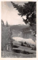 Titisee Panorama Ngl #143.133 - Autres & Non Classés