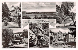 Insel Mainau Im Bodensee Teilansichten Gl1952 #142.982 - Autres & Non Classés