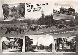 Wanderziele Am Rennsteig Im Thüringer Wald Ngl #143.281 - Autres & Non Classés