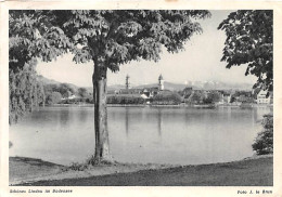 Lindau Am Bodensee Panorama Gl1952 #143.405 - Other & Unclassified