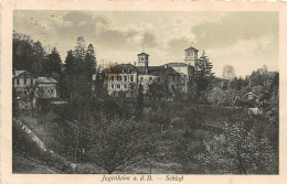 Jugenheim A.d.B. Schloss Gl1927 #143.100 - Autres & Non Classés