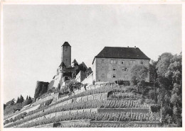 Ruine Hornberg Am Neckar Ngl #143.453 - Sonstige & Ohne Zuordnung