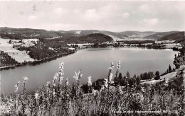 Titisee Panorama Gl1958 #143.742 - Sonstige & Ohne Zuordnung