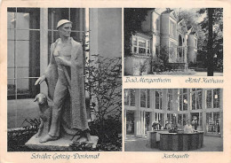 Bad Mergentheim Schäfer Gehrig-Denkmal Hotel Kurhaus Karlsquelle Gl1946 #143.509 - Autres & Non Classés