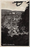 Neuenbürg An Der Enz Panorama Gl1937 #144.738 - Autres & Non Classés