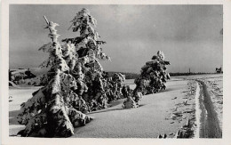 Winterlandschaft Gl1955 #143.935 - Autres & Non Classés