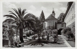 Insel Mainau I.B. Im Schlossgarten Ngl #143.871 - Autres & Non Classés