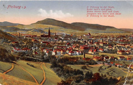 Freiburg Im Breisgau Panorama Gl1926 #144.787 - Andere & Zonder Classificatie