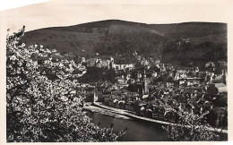 Heidelberg Vom Philosophenweg Aus Gesehen Ngl #144.971 - Autres & Non Classés