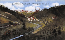 Freudenstadt - Panorama Mit Christophstal Ngl #144.767 - Autres & Non Classés