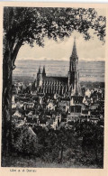 Ulm A.D. Panorama Ngl #144.923 - Other & Unclassified