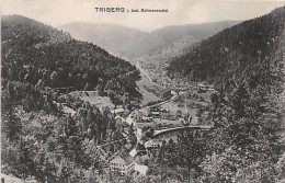 Triberg Im Schwarzwald Gesamtansicht Gl1919 #144.861 - Other & Unclassified