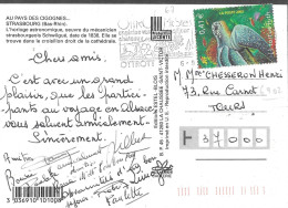 IMBRE N° 3485 -  LA TORTUE LUTH -  TARIF DU 1 1 02 AU 31 5 03  -  SEUL SUR LETTRE  -  2004 - Postal Rates