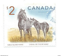Canada 2005 ; Cavalla Con Puledro, Cavalli, Pferde, Horses, Chevaux ; Used. - Pferde