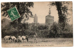 VERNEUIL PAYSAGE VU DU PONT VERSAILLES TROUPEAU DE VACHES ET SON VACHER  ANIMEE - Verneuil-sur-Avre