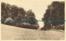 R630016 Great Missenden. Stockings Woods. 1931 - World