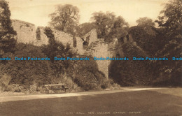 R630059 Oxford. City Wall. New College Garden - World