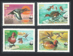 Azerbaijan WWF Birds Ferruginous Duck 4v 2000 MNH SG#480-483 MI#474-477 Sc#704 A-d - Aserbaidschan