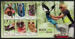 Australia Owl Bird Wombat Kangaroo Koala Fox Wildlife MS 2010 MNH SG#MS3498 - Nuevos