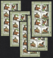 Armenia WWF Squirrel 5 Sheetlets [A] 2001 MNH SG#484-487 MI#435-438 Sc#632 A-d - Armenien
