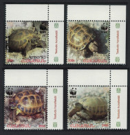 Armenia WWF Four-toed Tortoise 4v Corners 2007 MNH SG#605-608 MI#561-564 Sc#753-756 - Armenien