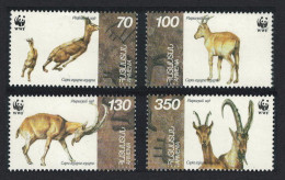 Armenia WWF Wild Goat 4v 1996 MNH SG#358-361 MI#298-301 Sc#540-543 - Armenia