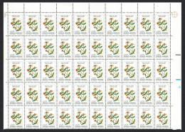 Argentina 'Zinnia Peruvianai' Flower A0.50- Half Sheet 50 Stamps 1985 MNH SG#1938 - Neufs