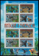 Antigua And Barbuda Birds WWF Caribbean Coot MS 2009 MNH SG#MS4263 MI#4702-4705 Sc#3055a-d - Antigua And Barbuda (1981-...)