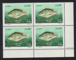 Algeria Nile Tilapia Fish Corner Block Of 4 2007 MNH SG#1569 - Algerien (1962-...)