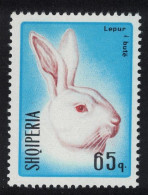 Albania Head Of White Rabbit 1967 MNH SG#1159 - Albanien