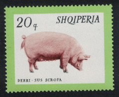 Albania Pig Domestic Animals 1966 MNH SG#989 - Albanie