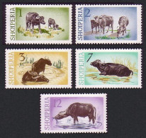 Albania Water Buffaloes 5v 1965 MNH SG#882-886 MI#921-925 - Albania