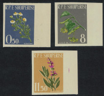 Albania Medicinal Plants 3v IMPERF 1962 MNH SG#700-702 MI#654B-656B - Albania