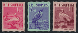 Albania Dalmatian Pelicans Heron Egret Birds 3v 1961 MNH SG#676-678 - Albanie