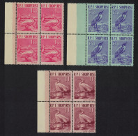 Albania Dalmatian Pelicans Heron Egret Birds 3v Blocks Of 4 1961 MNH SG#676-678 - Albanie