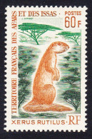 Afar And Issa Unstriped Ground Squirrel 'Xerus Rutilus' 60Fr 1967 MNH SG#508 MI#5 Sc#314 - Nuovi