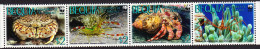 Bequia WWF Caribbean Reef Crustaceans Strip Of 4 2010 MNH MI#647-650 - St.Vincent & Grenadines
