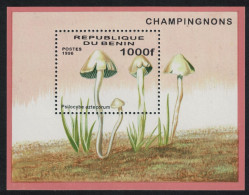 Benin Fungi MS 1996 MNH SG#MS1438 - Benin – Dahomey (1960-...)