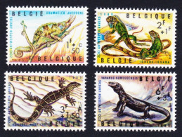 Belgium Chameleon Iguana Lizard Reptiles Of Antwerp Zoo 4v 1965 MNH SG#1943-1946 MI#1401-1404 Sc#B779-B782 - Nuevos