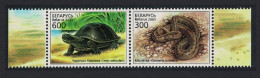 Belarus Turtle Snake Reptiles Pair T2 2003 MNH SG#538-539 Sc#463a - Wit-Rusland