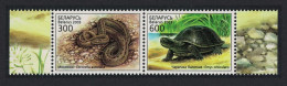 Belarus Turtle Snake Reptiles Pair T1 2003 MNH SG#538-539 MI#481-482 Sc#463a - Wit-Rusland