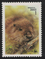 Belarus WWF Head Of Beaver 300r 1995 MNH SG#119 MI#96 Sc#117 - Belarus