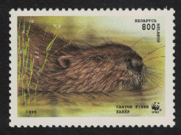 Belarus WWF Beaver Swimming 800r 1995 MNH SG#122 MI#99 Sc#120 - Belarus