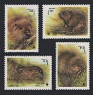 Belarus WWF European Beaver 4v 1995 MNH SG#119-122 MI#96-99 Sc#117-120 - Belarus