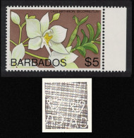 Barbados Orchid 'Caularthron Bicornutum' $5 WMK Ww14 RAR 1975 MNH SG#523 - Barbados (1966-...)